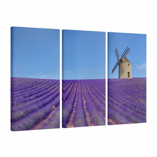Wandbilder Lavendelduft in der Provence