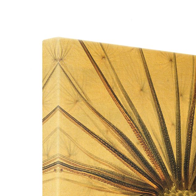 Leinwandbild Gold - Dandelion Close Up - Quadrat 1:1