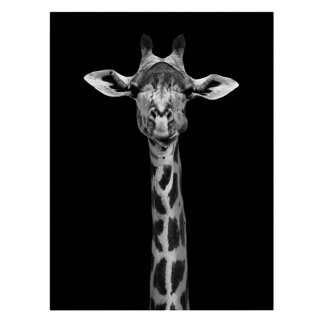 Tierbilder auf Leinwand Dunkles Giraffen Portrait