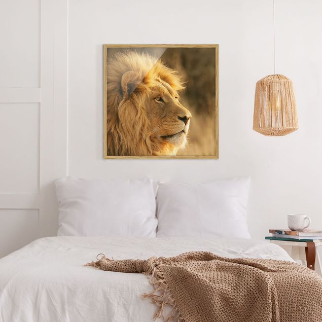 Gerahmte Bilder Löwenkönig
