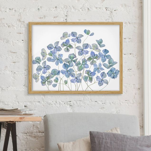 Bilder mit Rahmen Blumen Blaue Hortensienblüten