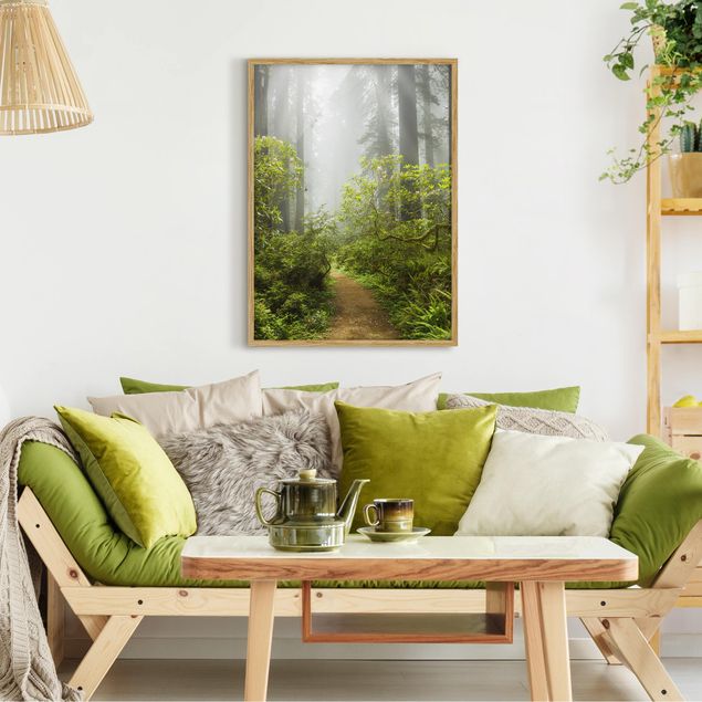 Wandbilder mit Rahmen Nebliger Waldpfad