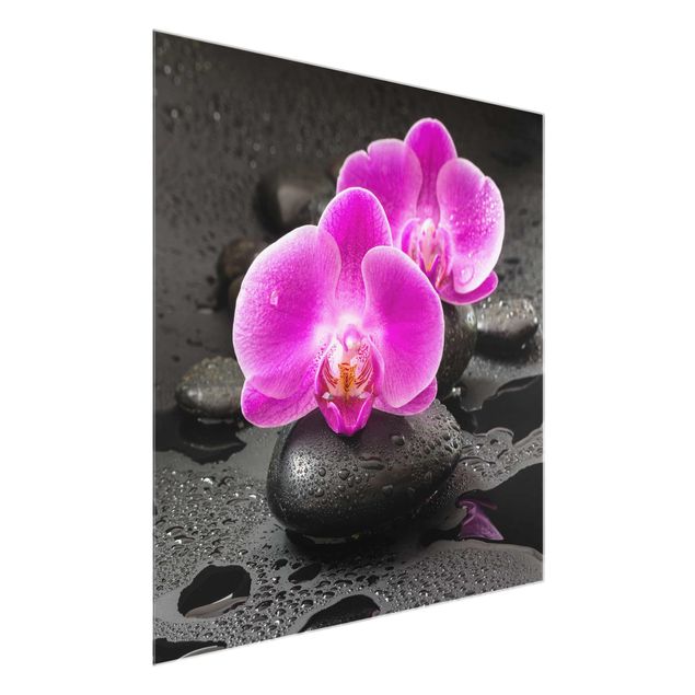 Glasbilder Natur Pinke Orchideenblüten auf Steinen mit Tropfen