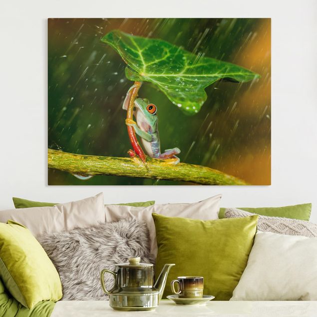 Leinwand Bilder XXL Ein Frosch im Regen