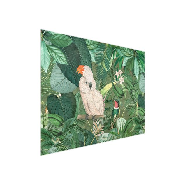 Natur Glasbilder Vintage Collage - Kakadu und Kolibri