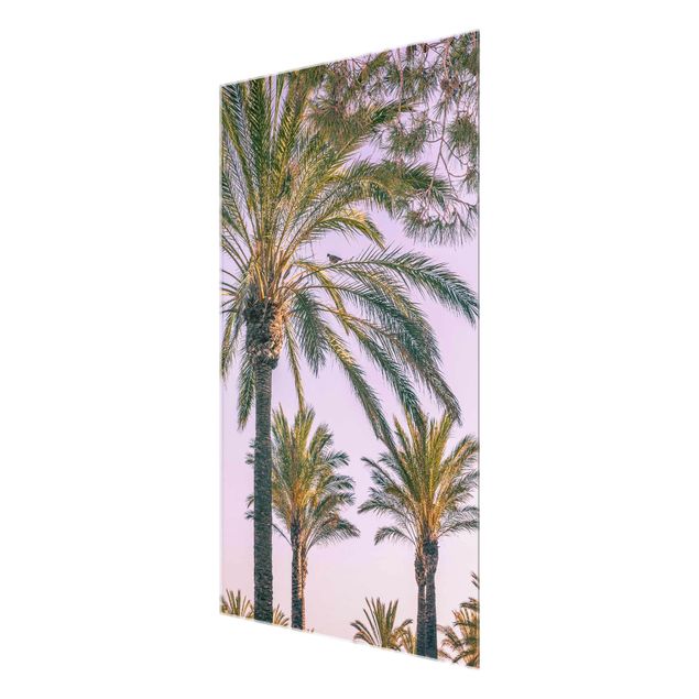 Glas Wandbilder Palmen im Sonnenuntergang