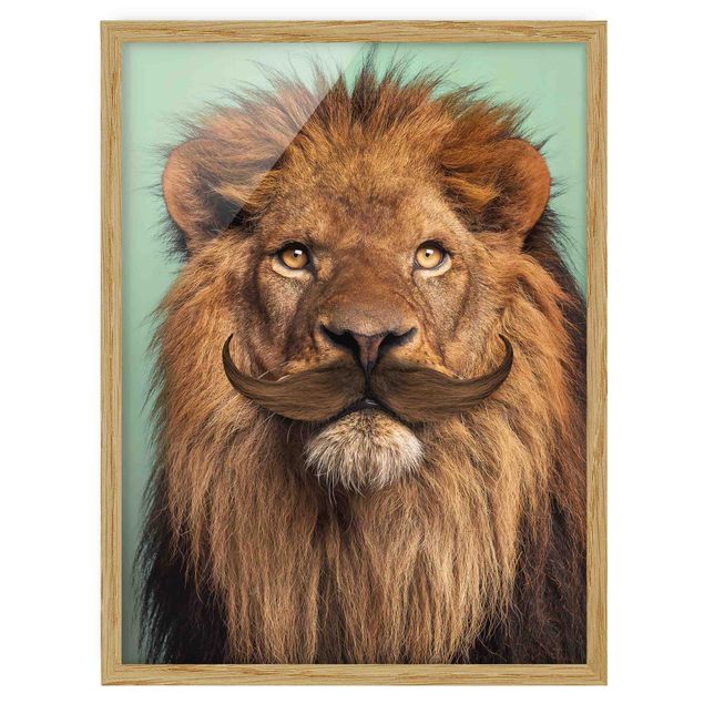 Wandbilder mit Rahmen Löwe mit Bart