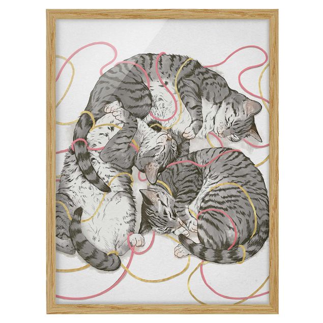 Bilder mit Rahmen Illustration Graue Katzen Malerei