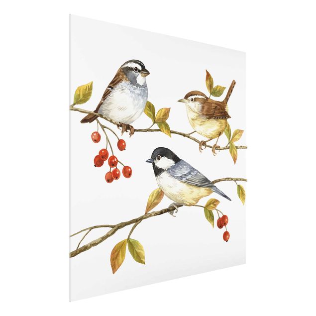 Glasbild - Vögel und Beeren - Meisen - Quadrat 1:1
