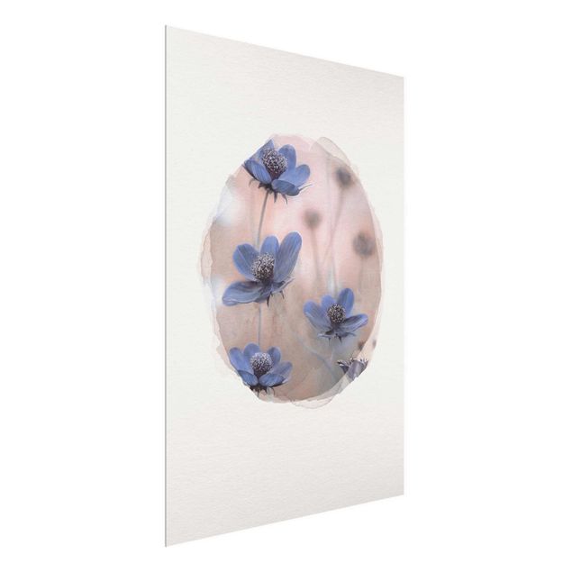 Natur Glasbilder Wasserfarben - Blaue Kosmeen