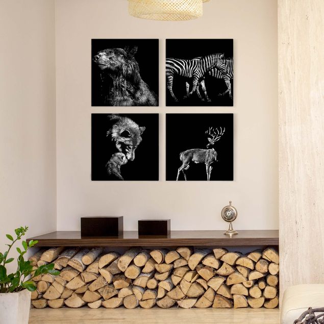 Wandbilder Tiere Wildtiere vor Schwarz Set I