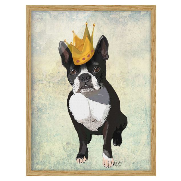 Schöne Wandbilder Tierportrait - Terrierkönig