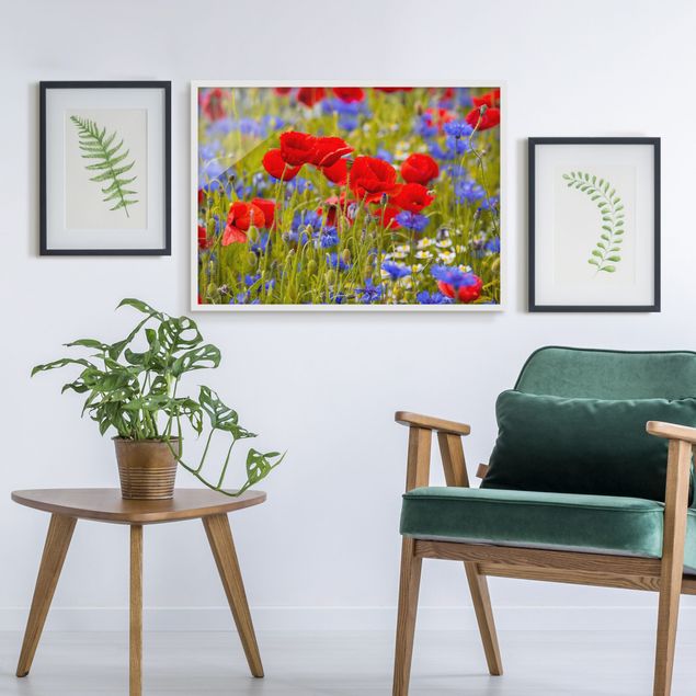 Schöne Wandbilder Sommerwiese mit Mohn und Kornblumen