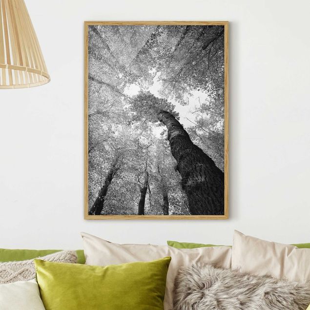 Gerahmte Bilder Schwarz-Weiß Bäume des Lebens II
