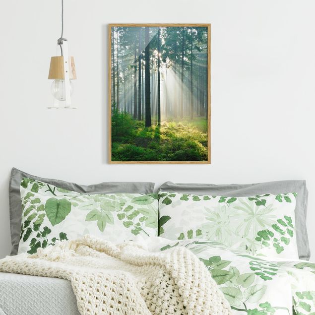Gerahmte Bilder Enlightened Forest