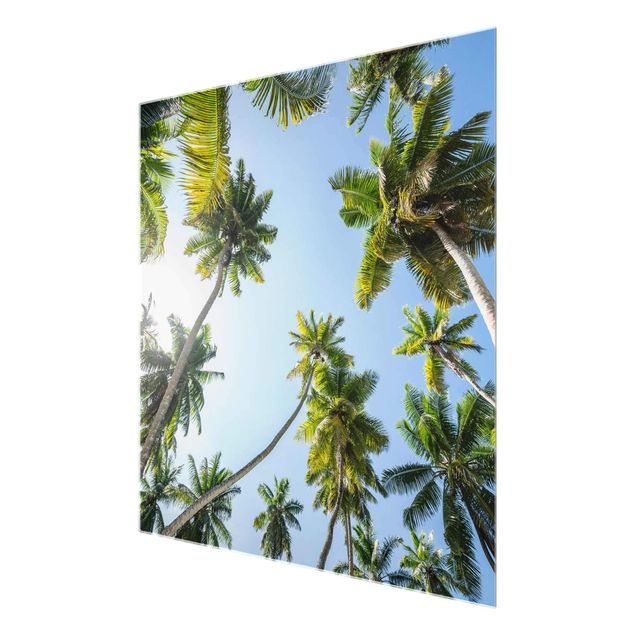 Glasbild - Palmen Himmel - Quadrat 1:1