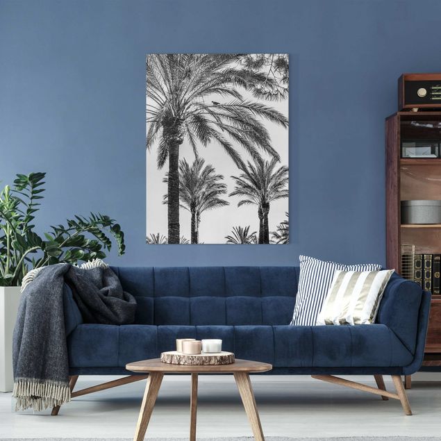 Leinwandbilder Natur Palmen im Sonnenuntergang Schwarz-Weiß