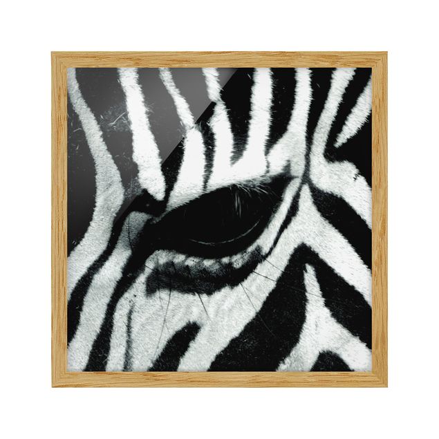 Gerahmte Bilder Zebra Crossing No.4