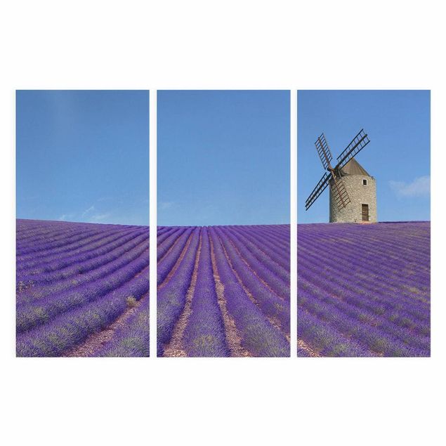 Leinwandbilder Lavendelduft in der Provence
