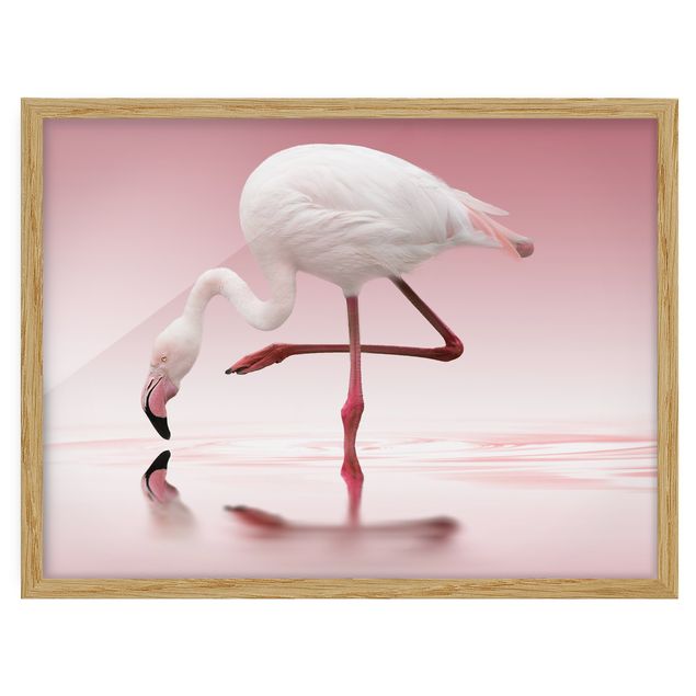 Bild mit Rahmen - Flamingo Dance - Querformat 3:4