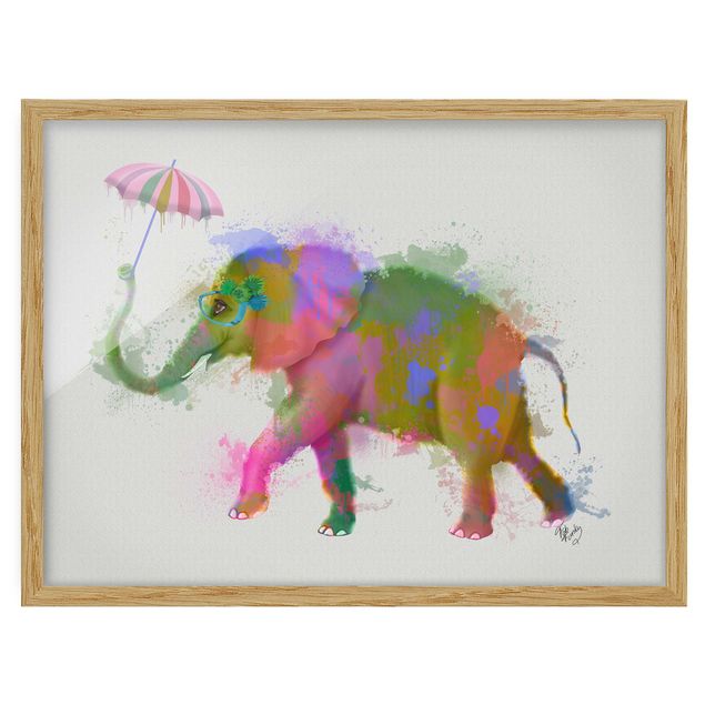 Schöne Wandbilder Regenbogen Splash Elefant