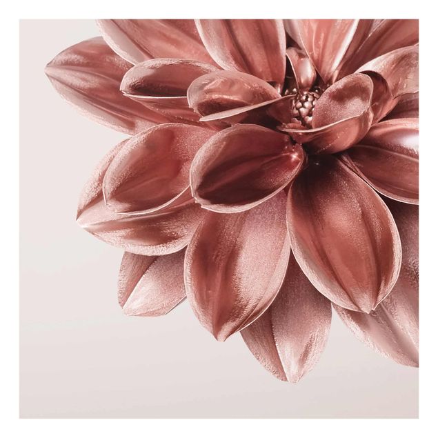 Bilder auf Glas Dahlie Blume Rosegold Metallic Detail
