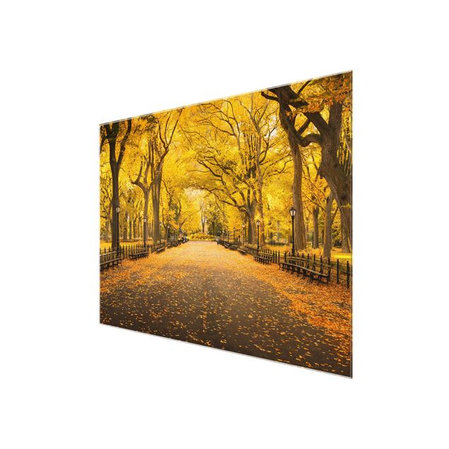 Glasbild - Herbst im Central Park - Querformat 4:3