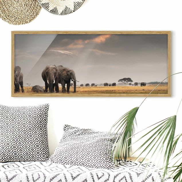 Wandbilder Tiere Elefanten der Savanne