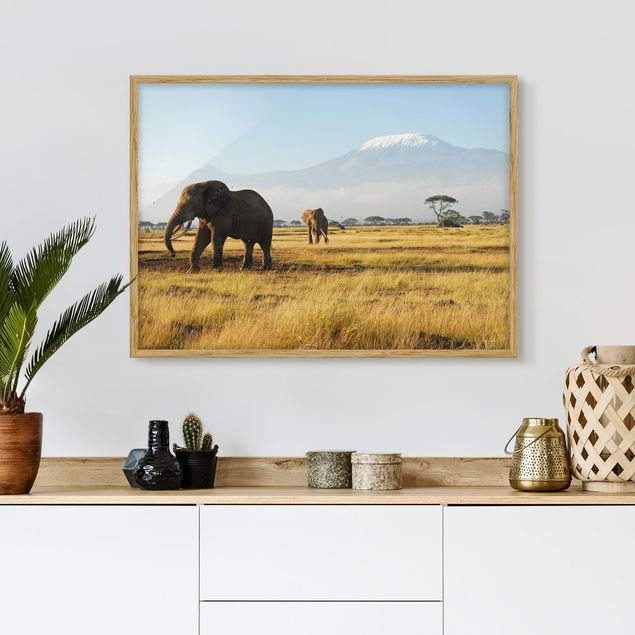 Wandbilder Tiere Elefanten vor dem Kilimanjaro in Kenia