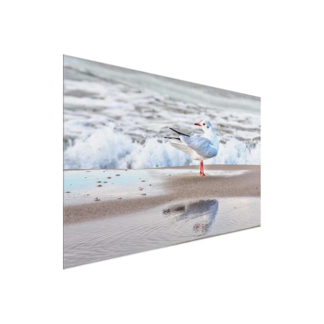 Natur Glasbilder Möwe am Strand vor Meer