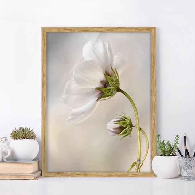 Blumen Bilder mit Rahmen Himmlischer Blütentraum