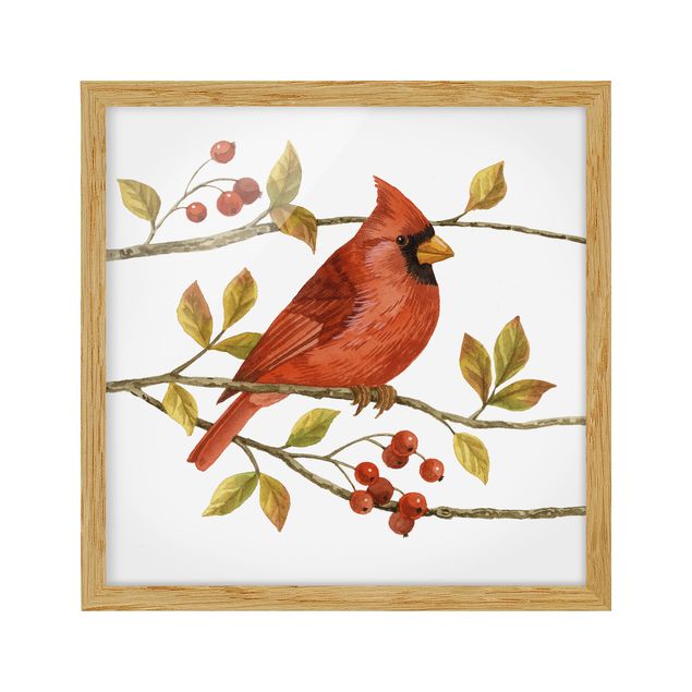 Schöne Wandbilder Vögel und Beeren - Rotkardinal