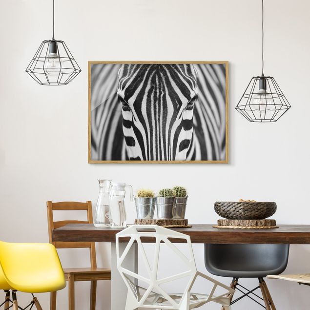 Schöne Wandbilder Zebra Look