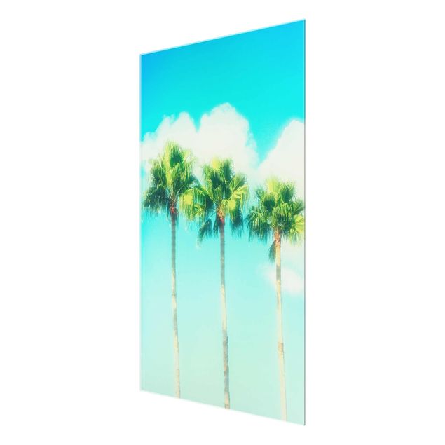 Glasbilder Palmen vor Himmel Blau