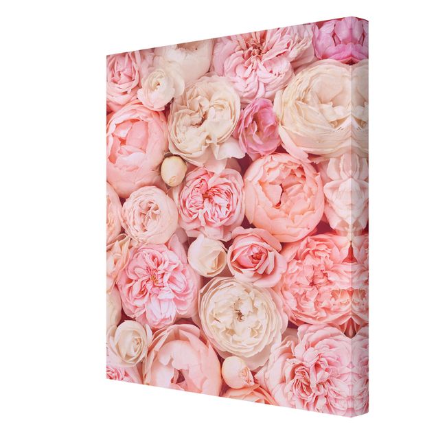 Schöne Wandbilder Rosen Rosé Koralle Shabby