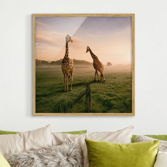 Natur Bilder mit Rahmen Surreal Giraffes