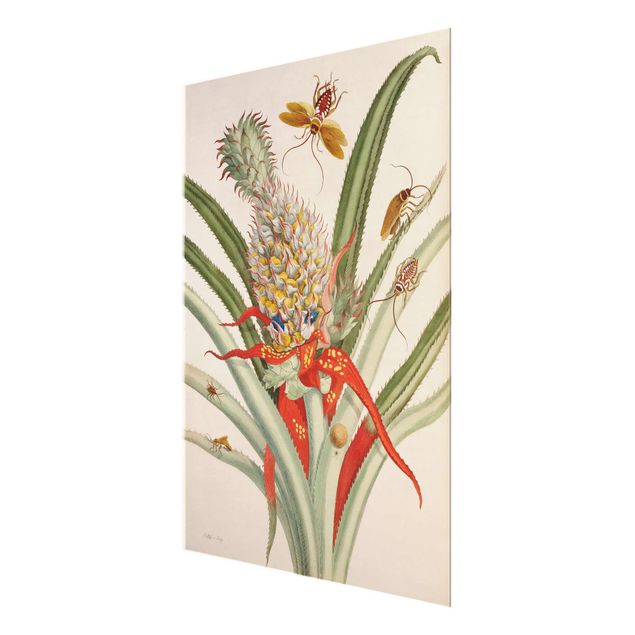 Schöne Wandbilder Anna Maria Sibylla Merian - Ananas mit Insekten