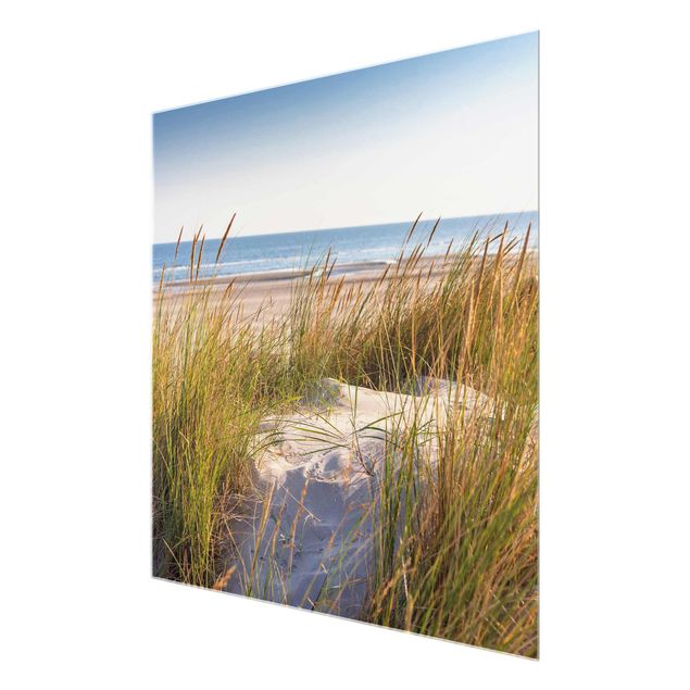 Glas Wandbilder Stranddüne am Meer
