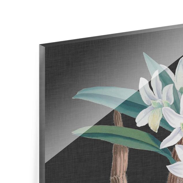 Glas Wandbilder Weiße Orchidee auf Leinen I