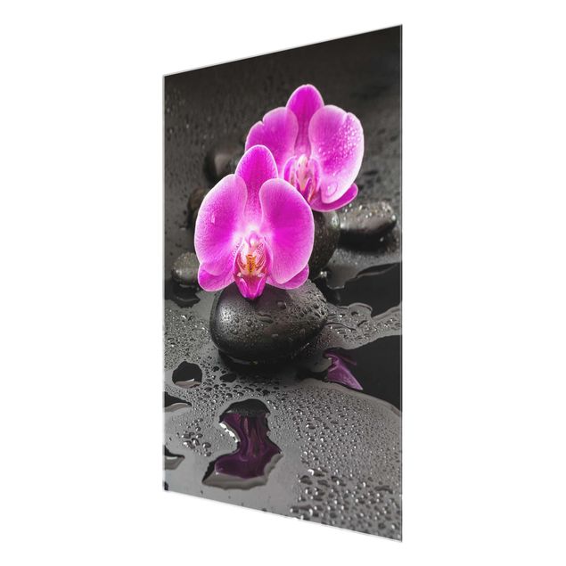 Bilder auf Glas Pinke Orchideenblüten auf Steinen mit Tropfen
