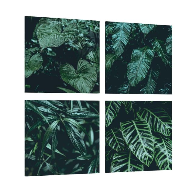 Schöne Leinwandbilder Tropische Pflanzen