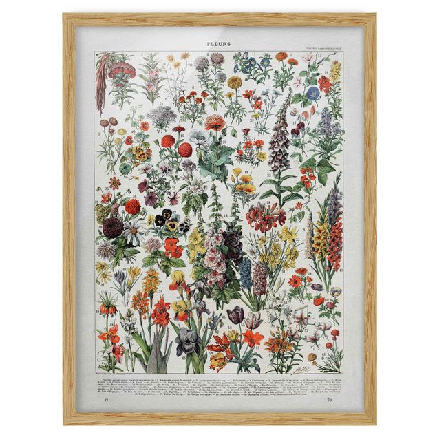 Wandbilder mit Rahmen Vintage Lehrtafel Blumen IV