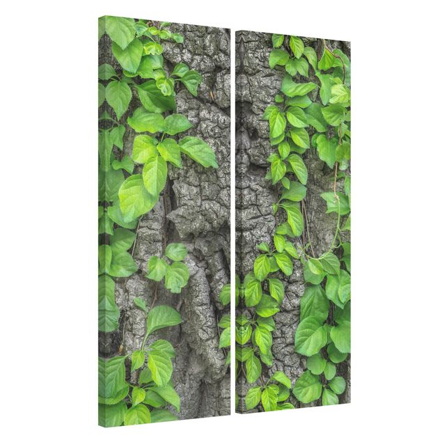 Wandbilder Wald Efeuranken Baumrinde