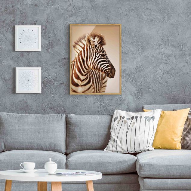 Gerahmte Bilder Zebra Baby Portrait