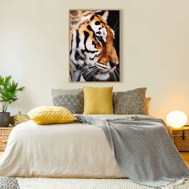 Wandbilder mit Rahmen Tiger Schönheit