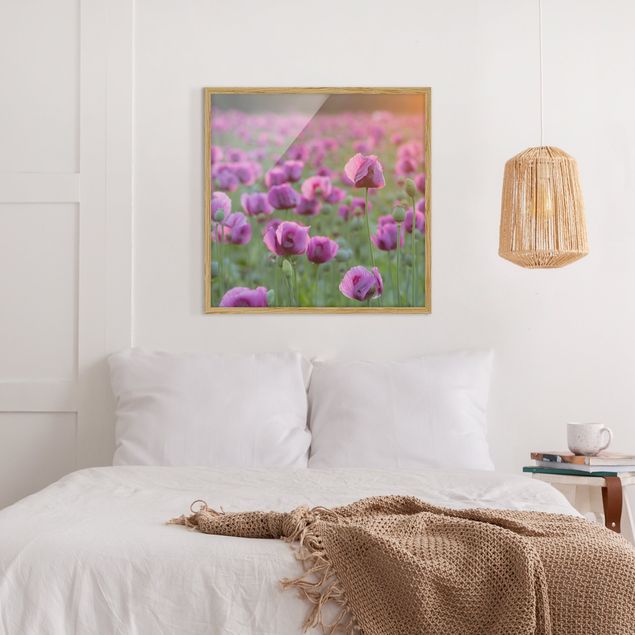 Wandbilder mit Rahmen Violette Schlafmohn Blumenwiese im Frühling