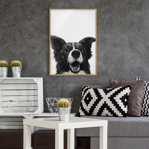 Schwarz-Weiß Bilder mit Rahmen Illustration Hund Border Collie Schwarz Weiß Malerei