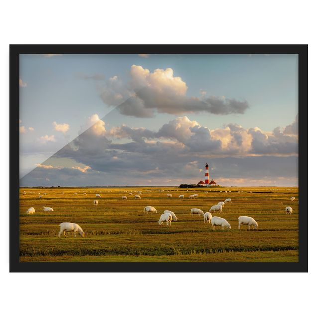 Gerahmte Bilder Nordsee Leuchtturm mit Schafsherde