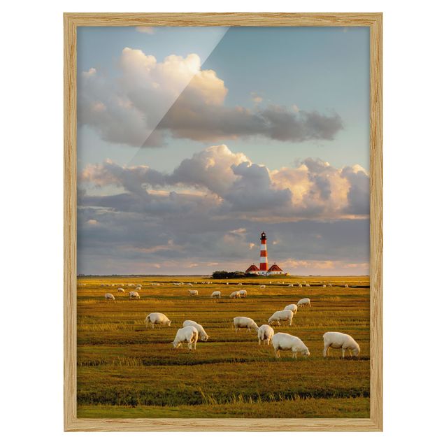 Wandbilder mit Rahmen Nordsee Leuchtturm mit Schafsherde