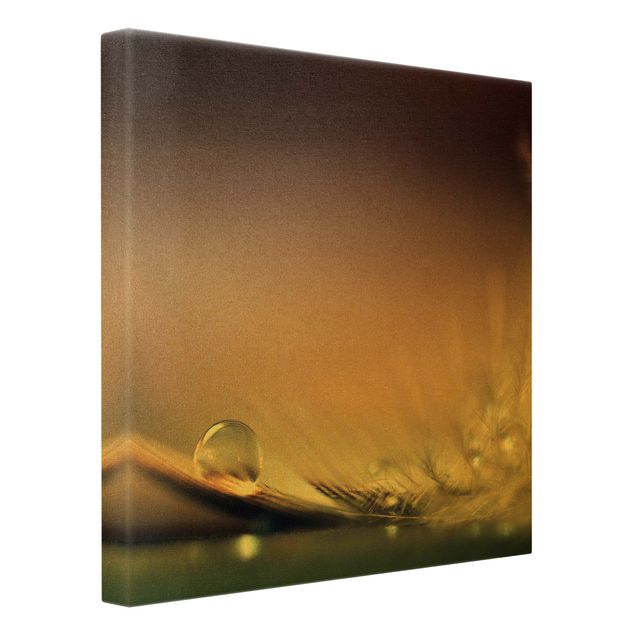 Leinwandbild Gold - Story of a Waterdrop - Quadrat 1:1